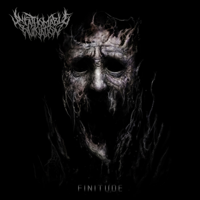 Unfathomable Ruination - Finitude artwork