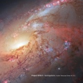 The Exaltics - NGC 253 artwork