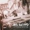 Caminos - Big Sativo lyrics