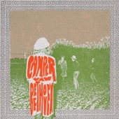 Camper Van Beethoven - Take the Skinheads Bowling