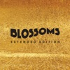 Blossoms (Extended Edition) artwork