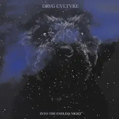 Into the Endless Night by Drvg Cvltvre album reviews, ratings, credits