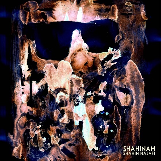 Cover artwork for Shahinam