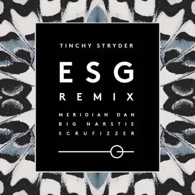 ESG (Remix) [feat. Big Narstie, Scrufizzer & Meridian Dan] - Single - Tinchy Stryder