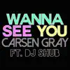 Wanna See You (feat. DJ Shub) - Single album lyrics, reviews, download