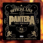 Pantera - I'm Broken (Live)