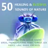 Stream & download 50 Healing & Blissful Sounds of Nature: Waterfall, Rain, Ocean Waves, Birds, Thunderstorm, Wind, Forest, Sea, Frogs, Lake, River, Crickets