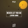 Never Let You Go - Single