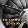 Triebwerk Hornung