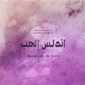 Andalusia of Love artwork