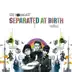 Separated At Birth (Radio Edit) song reviews