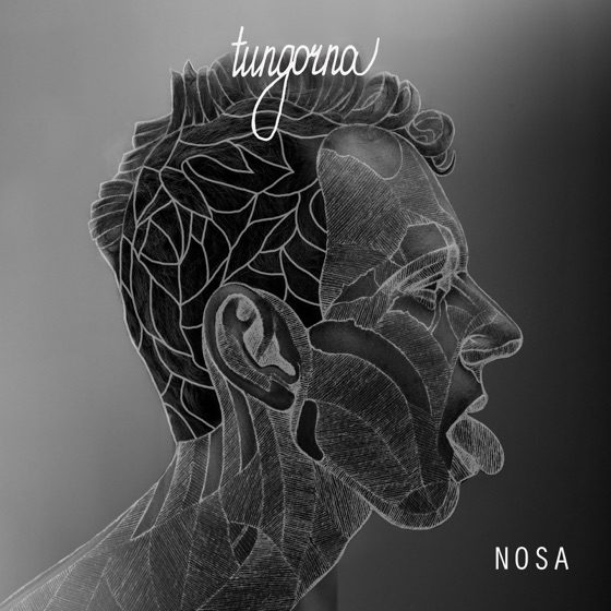 Cover artwork for NOSA