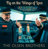 Fly on the Wings of Love - Single