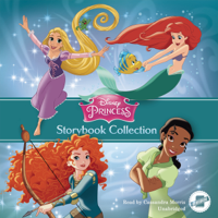 Disney Press - Disney Princess Storybook Collection (Unabridged) artwork