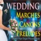 Wedding March Processional - Steven Current lyrics