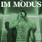 Im Modus (feat. Jay Jiggy) - PINSCHMIDT lyrics