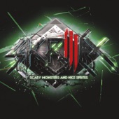 Skrillex - Scary Monsters and Nice Sprites (Zedd Remix)
