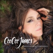 Cee Cee James - You're My Man