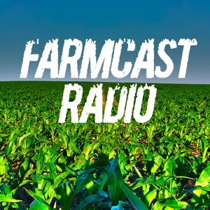 Episode 529