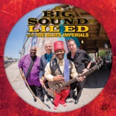 The Big Sound of Lil' Ed & the Blues Imperials artwork