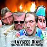 Hayseed Dixie - Breaking the Law