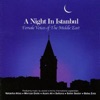 A Night In Istanbul