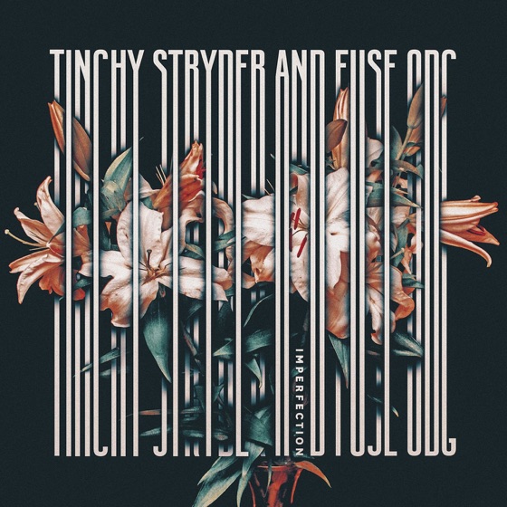 Cover artwork for Imperfection (feat. Fuse ODG)