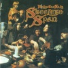 Gaudete - 2009 Remaster by Steeleye Span iTunes Track 1