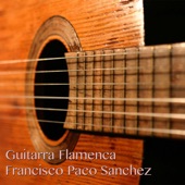 Guitarra Flamenca artwork