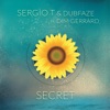 Secret (feat. Dim Gerrard) - Single