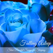 Falling Asleep – Slow Peaceful Songs for Sleeping artwork