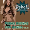 Puras Buenas Con Banda, Vol. 2