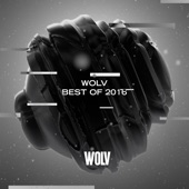 Wolv - Best of 2016 artwork