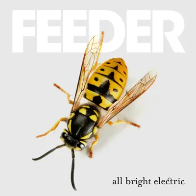 All Bright Electric (Deluxe Version) - Feeder