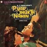 Kavita Krishnamurthy - Tumse Milkar Na Jane (Female Version)