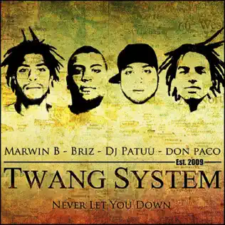 descargar álbum Twang System - Never Let You Down