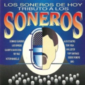 Tributo a los Soneros artwork