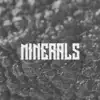 Minerals - Single album lyrics, reviews, download