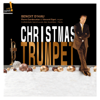 The Christmas Trumpet - Benoit d'Hau