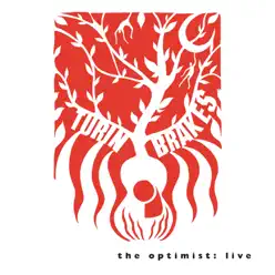The Optimist Live (London, KOKO 11.11.11) - Turin Brakes
