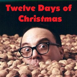 Lyrics To The Song Twelve Days Of Christmas Allan Sherman