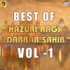 Best of Hazuri Ragi Darbar Sahib, Vol. 1