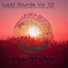 Lucid Sounds, Vol. 22 - A Fine and Deep Sonic Flow of Club House, Electro, Minimal and Techno, 2016