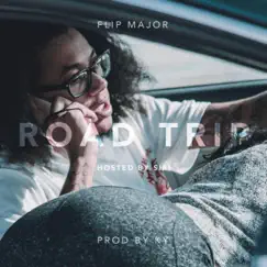 Road Trip by Flip Major album reviews, ratings, credits