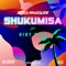Shukumisa (feat. Riky Rick) - Stilo Magolide lyrics