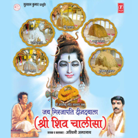 Ashwani Amarnath - Jai Girjapati Deendayala artwork