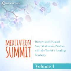 The Meditation Summit: Volume 1: Deepen and Expand Your Meditation Practice with the World's Leading Teachers