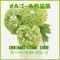 Saa Kane Wo Narase (Music Box) - Orgel Sound J-Pop lyrics