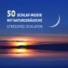 50 Schlaf-Musik mit Naturgeräusche: Reiki Heilung Musik und harmonische Schwingung für Meditation (Stressfrei Schlafen) Geistheilung, Entspannungsmusik, Instrumentalmusik & Yoga