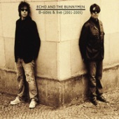 Echo And The Bunnymen - Ticket to Ride